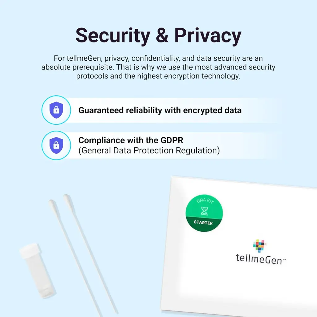 Starter 4.webp